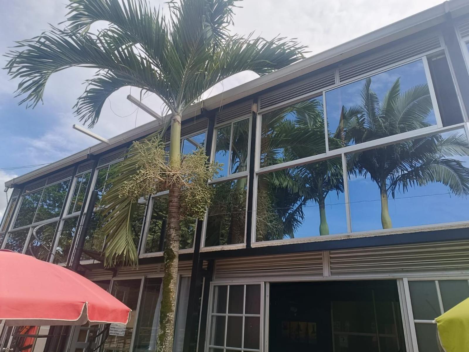 Akuarela Apartamentos Campestres อีบาเก ภายนอก รูปภาพ