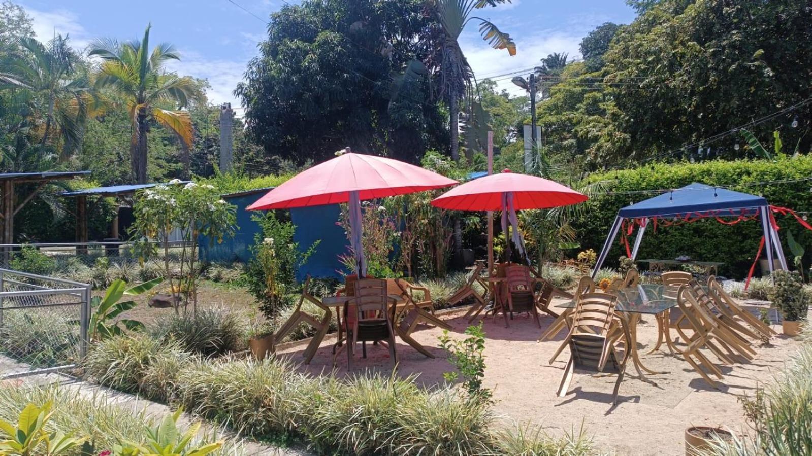 Akuarela Apartamentos Campestres อีบาเก ภายนอก รูปภาพ